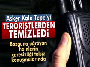 TSK, Kale Tepe'yi teröristlerden temizledi