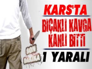 Kars'ta Bıçaklı Kavga Kanlı Bitti: 1 Yaralı