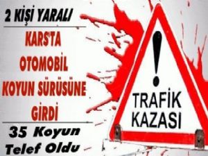 Kars'ta 2 Araç Koyun Sürüsüne Daldı!: 35 Koyun Telef Oldu