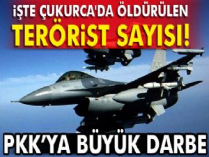 Çukurca'da öldürülen terörist sayısı 201'e ulaştı