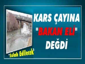 Kars'ın Çay'ına Bakan Eli Değdi