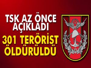 Öldürülen terörist sayısı 301'e yükseldi