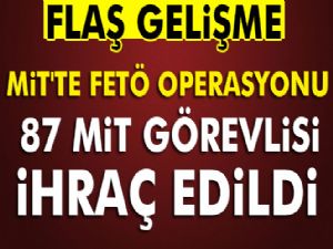 MİT'te FETÖ operasyonu