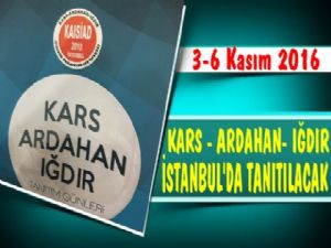 İstanbul'da Kars Ardahan ve Iğdır Rüzgarı Esecek