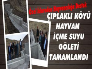 Kars İl Özel İdaresi'nden hayvancılığa Destek