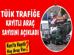 TÜİK Kars'ta Kayıtlı Araç Sayısını Açıkladı