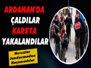 Hayvan Hırsızları Kars'ta Yakayı Ele Verdi