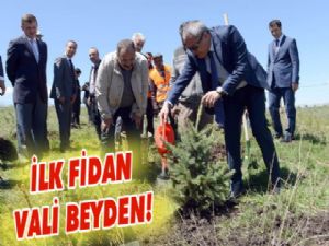 Yılın ilk fidanları toprakla buluştu