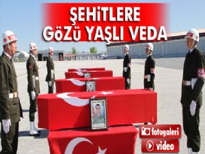 Şehitlere gözü yaşlı veda!