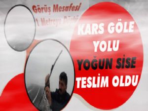 Kars Göle Karayolu Sise Teslim Oldu