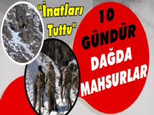 İnatları Tutunca '10 Gündür Dağda Mahsur Kaldılar'