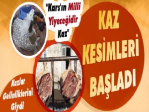 Kars'ta Kazları kesimleri başladı