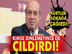 Hasip Kaplan, Kürt vatandaşlara hakaret etti