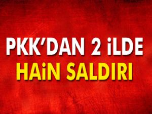 PKK'dan 2 ilde hain saldırı!