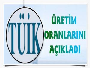 TÜİK Üretim Oranlarını Açıkladı