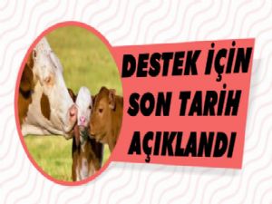 Hayvancılık Desteklerinin Başvuru Tarihleri Açıklandı