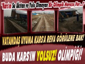 Kars'ın 'Su Kaçıran ve Yolu Olmayan' Olimpik Havuzu Var!