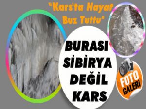 Kars Çayı Soğuk Havaya Direnemedi