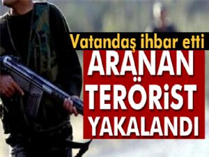 Vatandaş İhbar Etti, aranan Terörist Yakalandı