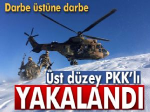 PKK'ya ağır darbe: O terörist yakalandı!