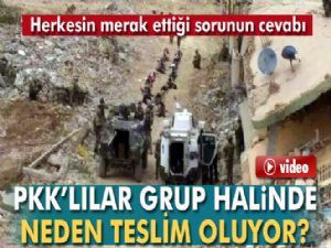 PKK'lılar Grup halinde neden teslim oluyor?