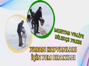 Yaban Hayatı için Seferber Oldular