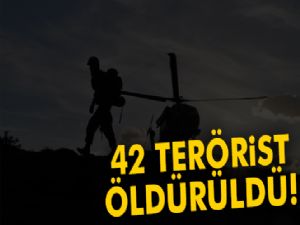 42 terörist etkisiz hale getirildi