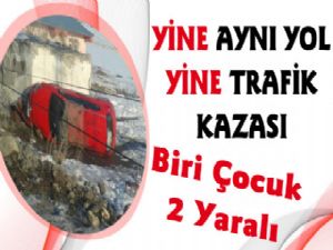 Kars'ta Trafik Kazası, Araç Şarampole Uçtu