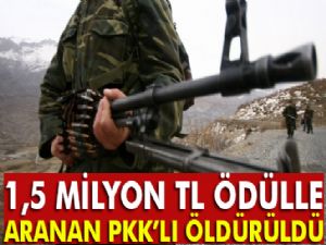 1,5 milyon TL ödülle aranan PKK'lı öldürüldü