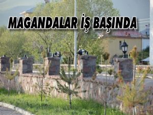 Şehir magandaları iş başında