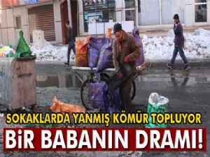 İşsiz baba yanmış kömürleri toplayıp yakmak için evine götürüyor