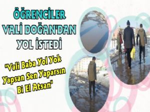 Öğrenciler Vali Doğan'dan Yol İstediler