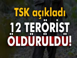 TSK: '12 terörist etkisiz hale getirildi'
