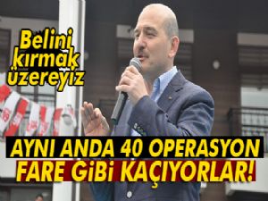 Bakan Soylu: 'Dağ fareleri olarak kaçıyorlar'