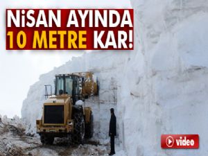 Kar kalınlığının 10 metreyi bulduğu Muş'ta çalışmalar sürüyor