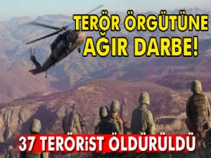 Şırnak'ta 37 terörist daha etkisiz hale getirildi