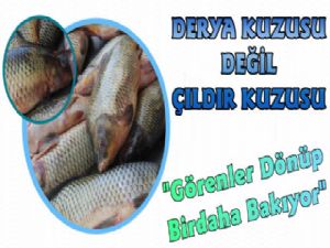 Çıldır'da Tutulan Balıklar İlgi Odağı Oldu