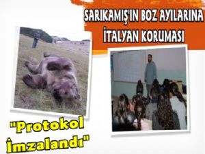 Sarıkamış'ın Boz Ayılarına İtalyan Formülü