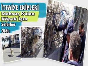 Kars'ta İtfaiye Ekipleri Parmaklıklara Sıkışan Köpek İçin Seferber Oldu