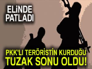 PKK'lı teröristin kurduğu tuzak sonu oldu! Patlayıcı döşediği sırada...