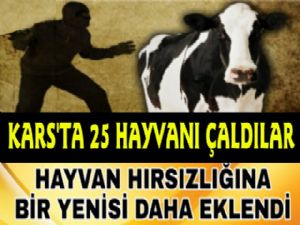 Kars'ta Hırsızlık, 25 Hayvanı Ahırdan Çaldılar