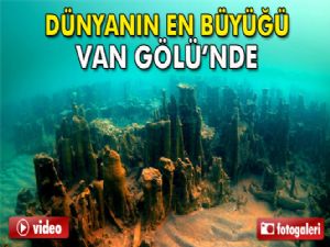 Van Gölü'nde yeni mikrobiyalit alanları bulundu