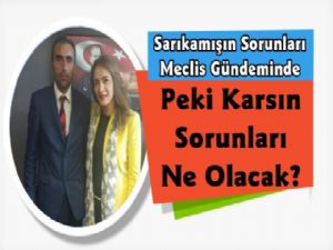 Sarıkamış'ın sorunları Ankara'da masaya yatırıldı