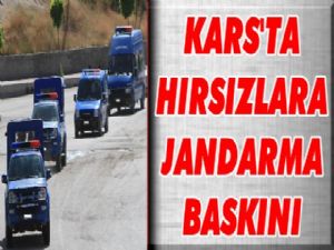 Hayvan hırsızlarına jandarma baskını!