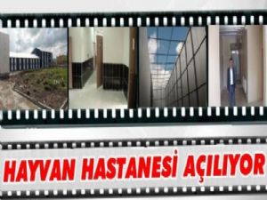 Kars Hayvan Hastanesi Açılıyor