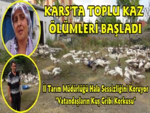 Kars'ta Kazlara Ne Oluyor, Toplu Ölümler Başladı