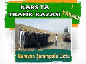 Mezra Yolunda Trafik Kazası, Kamyon Şarampole Uçtu
