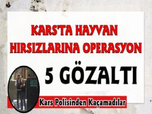 Kars'ta Hayvan Hırsızlarına Operasyon, 5 Gözaltı