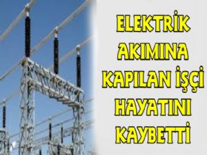 ARAS EDAŞ Çalışanını Elektrik Çarptı, Hayatını Kaybetti