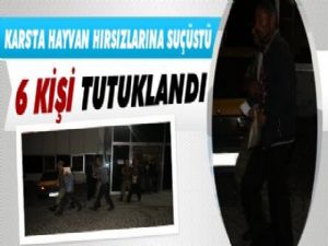 Kars'ta Hayvan Hırsızlarına Jandarmadan Suç Üstü, 6 Kişi Tutuklandı